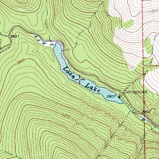 Topographic Map of Loon Lake, MT