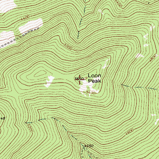 Topographic Map of Loon Peak, MT