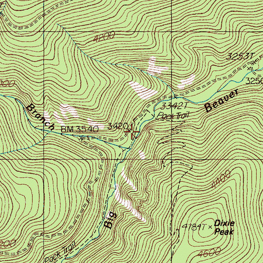 Topographic Map of Lost Branch, MT