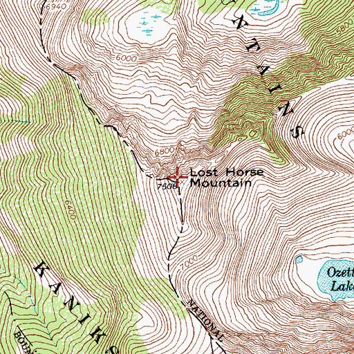 Topographic Map of Lost Horse Mountain, MT