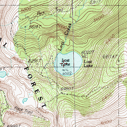 Topographic Map of Lost Lake, MT