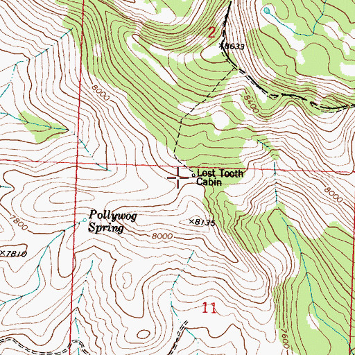 Topographic Map of Lost Tooth Cabin, MT
