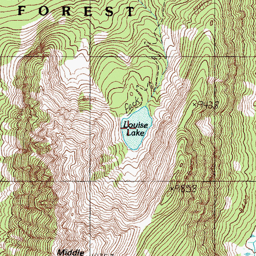 Topographic Map of Louise Lake, MT