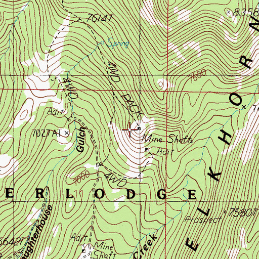 Topographic Map of Louise Mine, MT