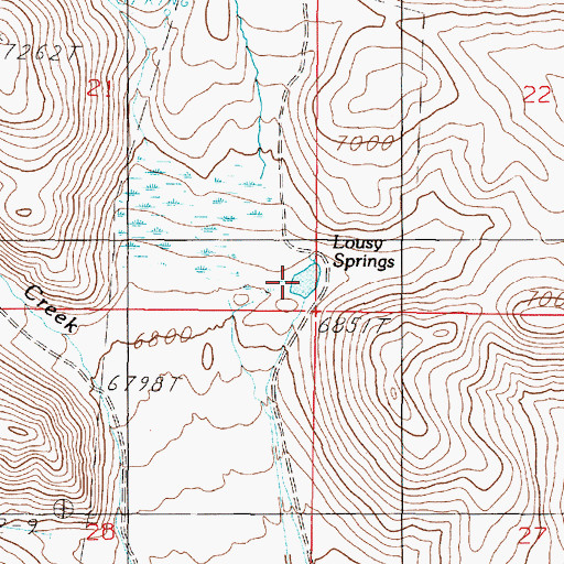 Topographic Map of Lousy Springs, MT