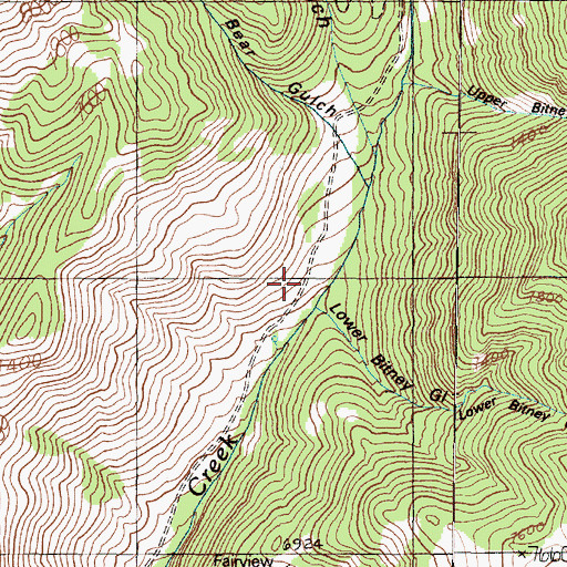 Topographic Map of Lowel Bitney Gulch, MT