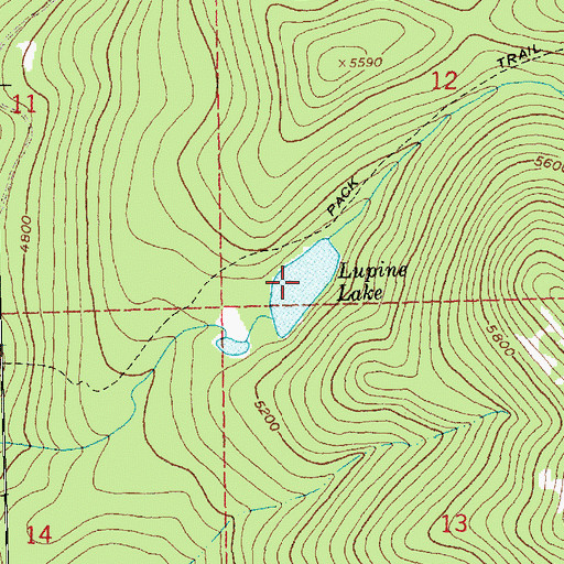Topographic Map of Lupine Lake, MT