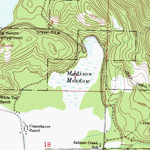 Topographic Map of Madison Meadow, MT