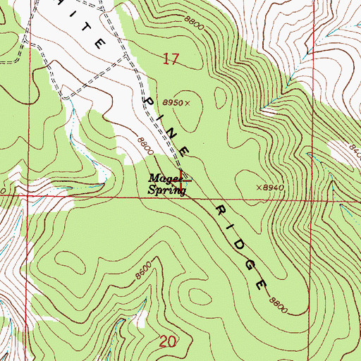 Topographic Map of Magee Spring, MT