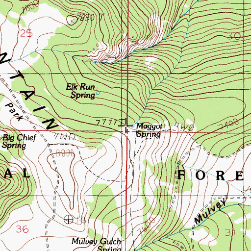 Topographic Map of Maggot Spring, MT