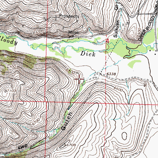 Topographic Map of Magpie Gulch, MT