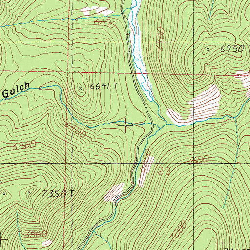 Topographic Map of Main Gulch, MT