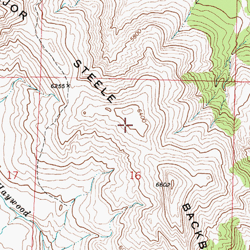 Topographic Map of Major Steele Backbone, MT