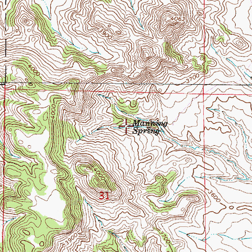 Topographic Map of Manning Spring, MT