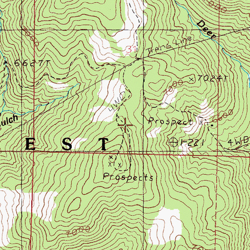 Topographic Map of Marguerite Mine, MT