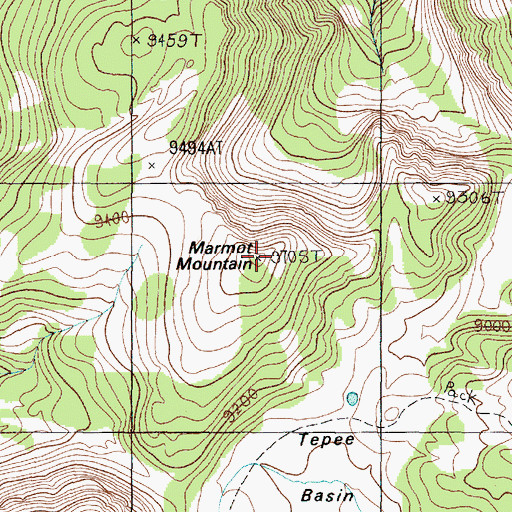 Topographic Map of Marmot Mountain, MT