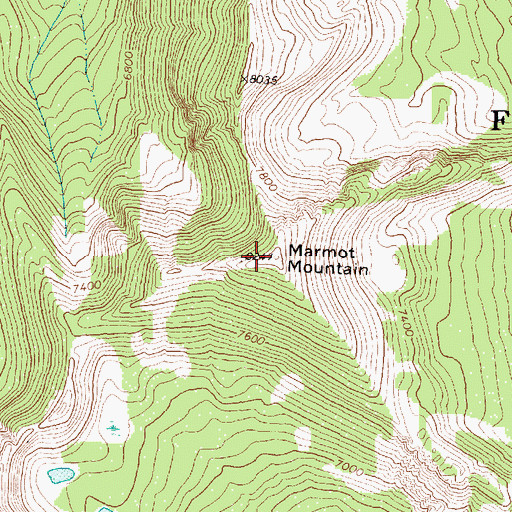 Topographic Map of Marmot Mountain, MT