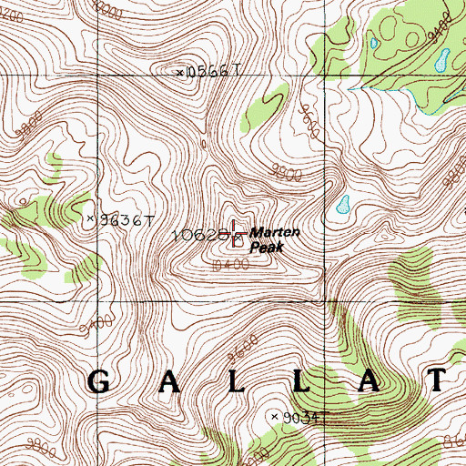 Topographic Map of Marten Peak, MT