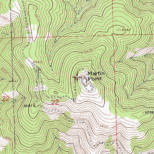 Topographic Map of Martin Point, MT