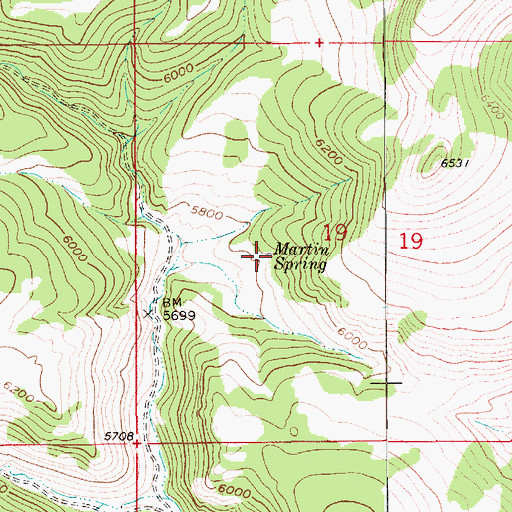 Topographic Map of Martin Spring, MT
