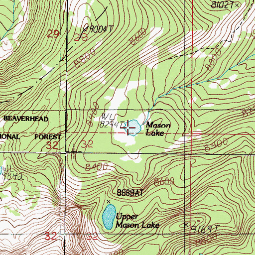 Topographic Map of Mason Lake, MT