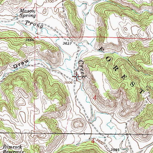 Topographic Map of Mason Prong, MT