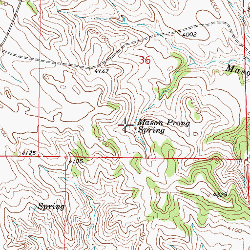 Topographic Map of Mason Prong Spring, MT
