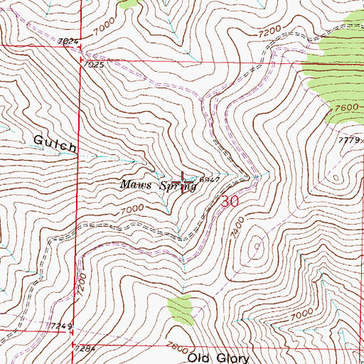 Topographic Map of Maws Spring, MT