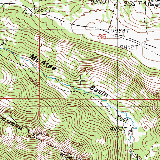 Topographic Map of McAtee Basin, MT