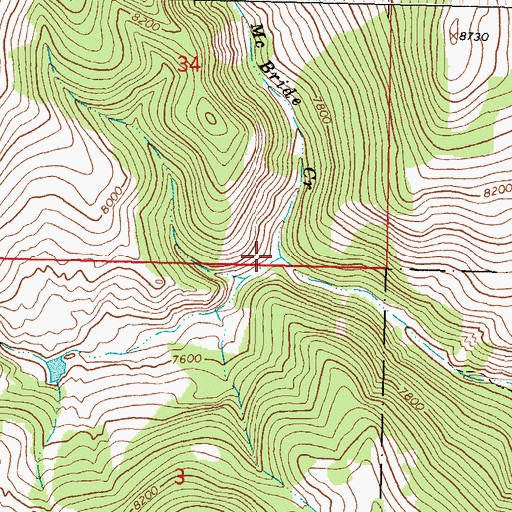 Topographic Map of McBride Creek, MT