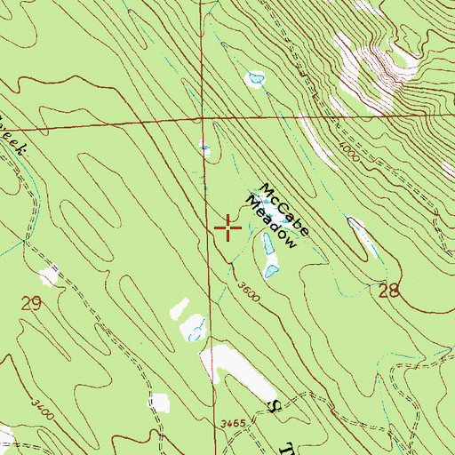 Topographic Map of McCabe Meadow, MT