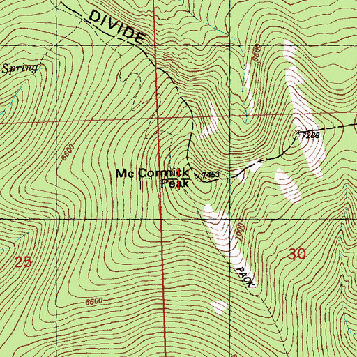 Topographic Map of McCormick Peak, MT