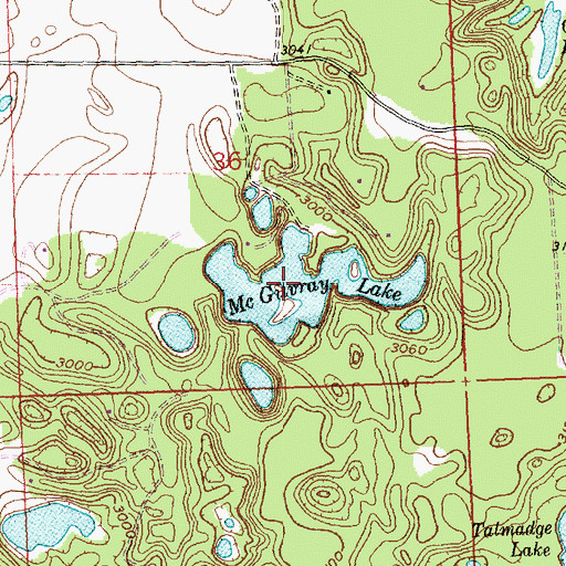 Topographic Map of McGilvray Lake, MT