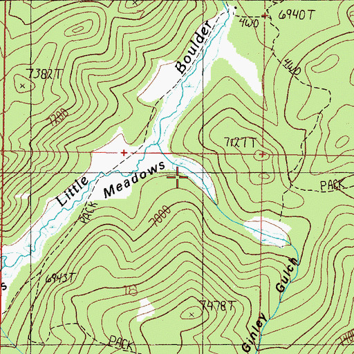 Topographic Map of McGinley Gulch, MT
