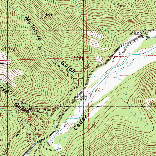 Topographic Map of McIntyre Gulch, MT