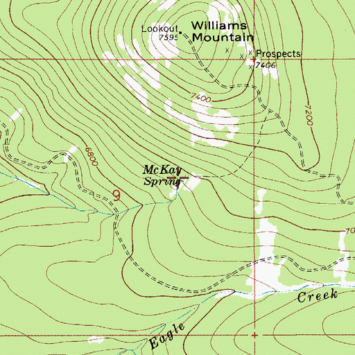 Topographic Map of McKay Spring, MT