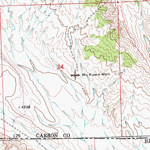 Topographic Map of McKnown Well, MT