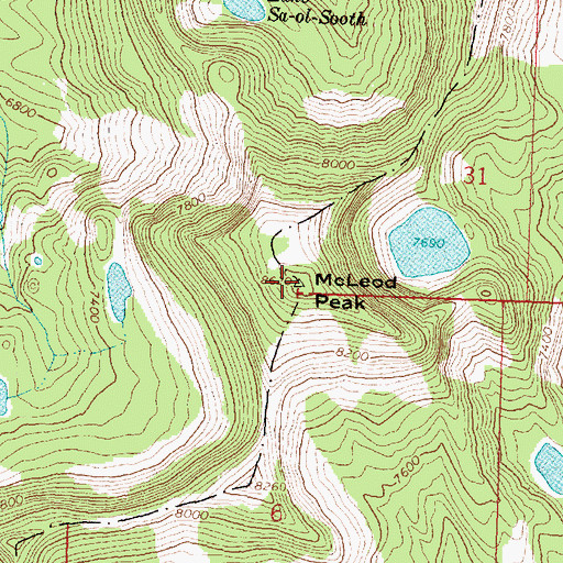 Topographic Map of McLeod Peak, MT