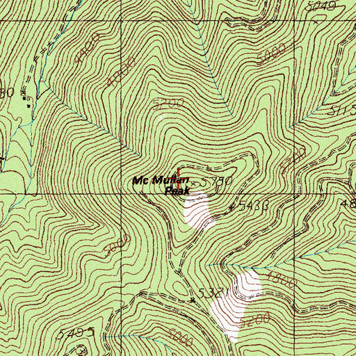 Topographic Map of McMullan Peak, MT