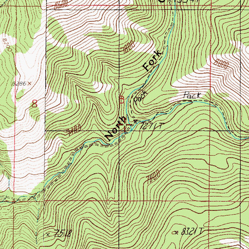 Topographic Map of Meadow Fork Greenhorn Creek, MT
