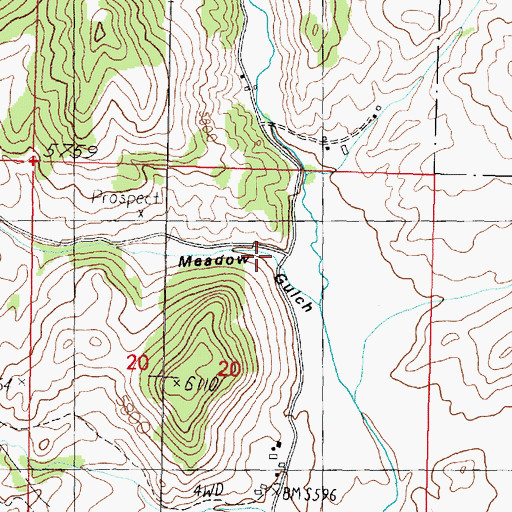 Topographic Map of Meadow Gulch, MT