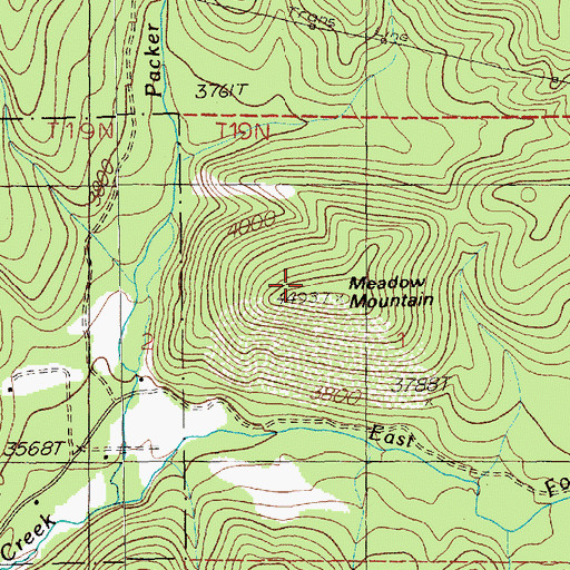 Topographic Map of Meadow Mountain, MT