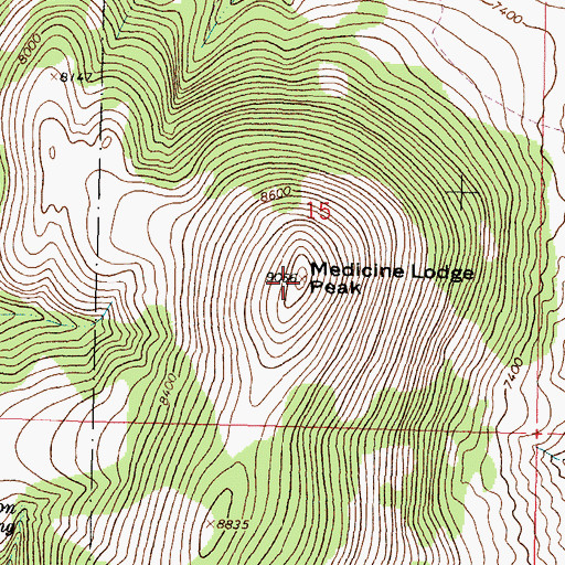 Topographic Map of Medicine Lodge Peak, MT
