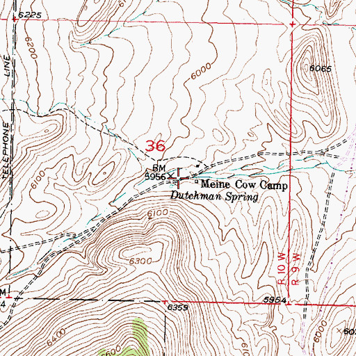 Topographic Map of Meine Cow Camp, MT