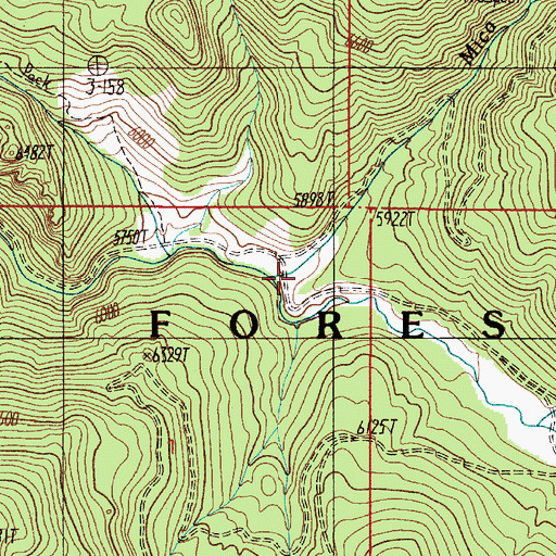 Topographic Map of Mica Creek, MT