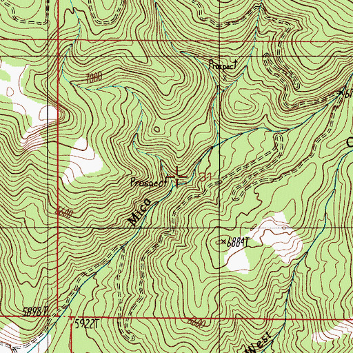 Topographic Map of Mica Mine, MT