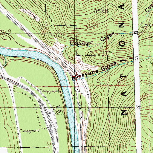Topographic Map of Micayune Gulch, MT