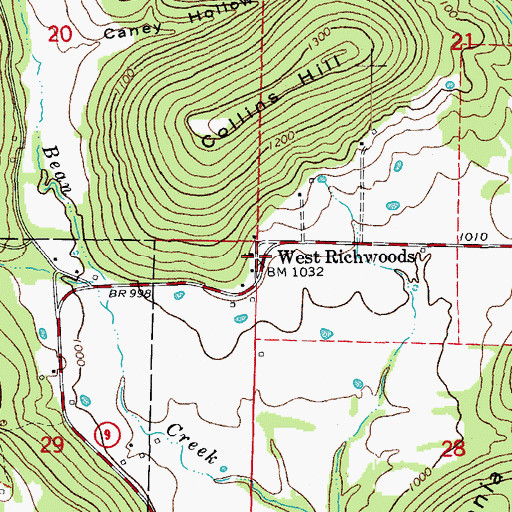 Topographic Map of West Richwoods, AR