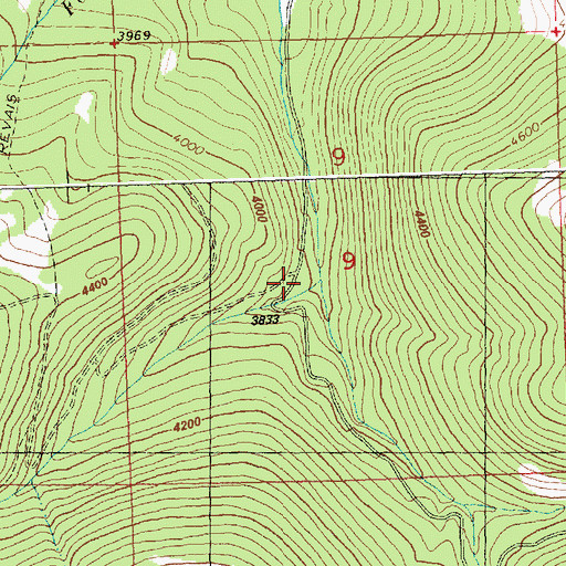 Topographic Map of Middle Fork Revais Creek, MT