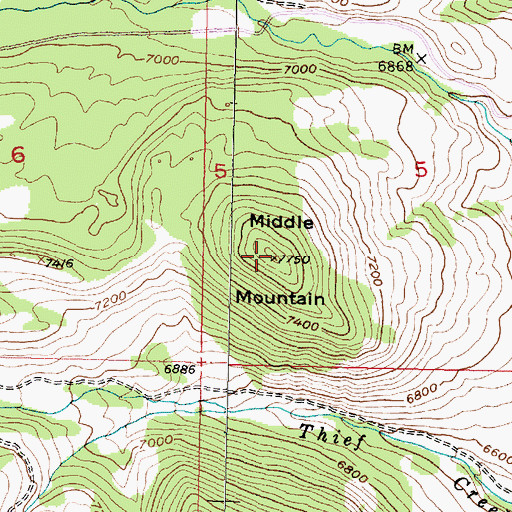 Topographic Map of Middle Mountain, MT